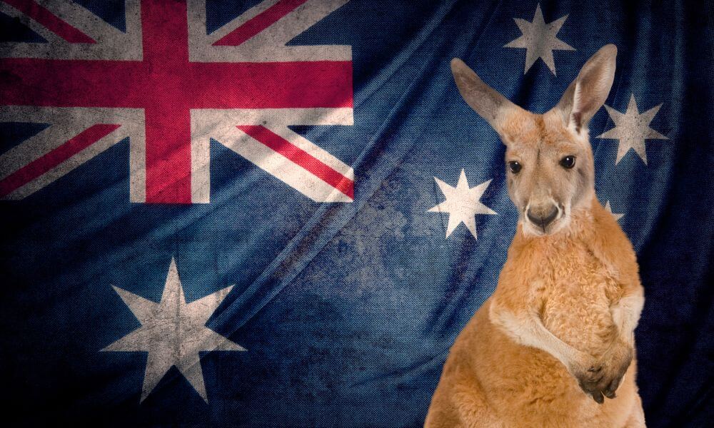 Australian Slang For Kangaroo