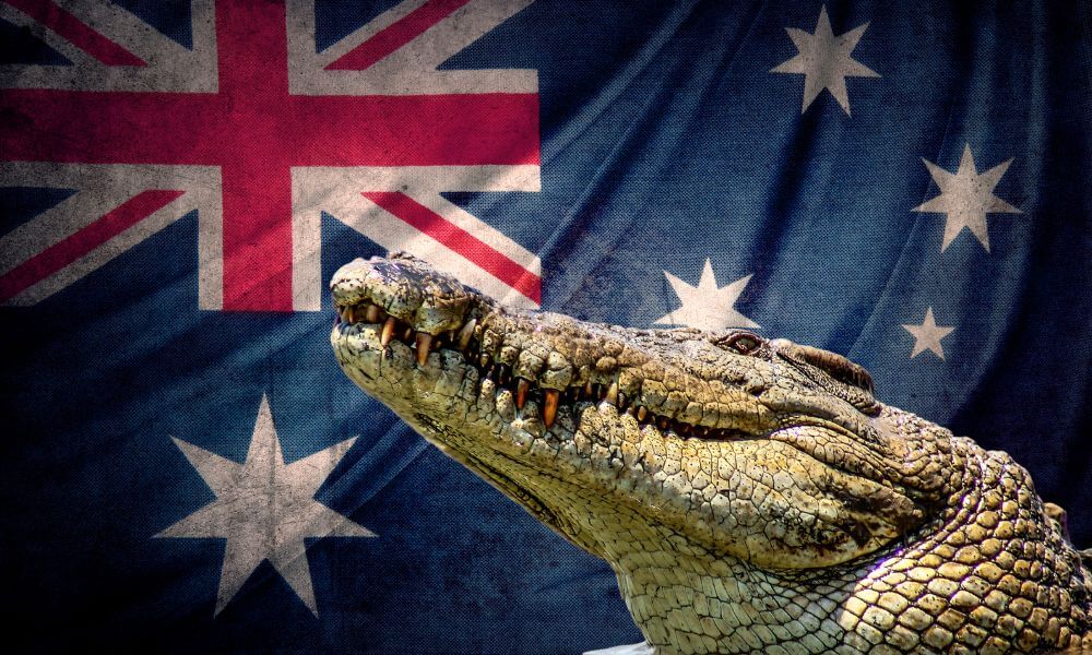 Australian Slang For Crocodile