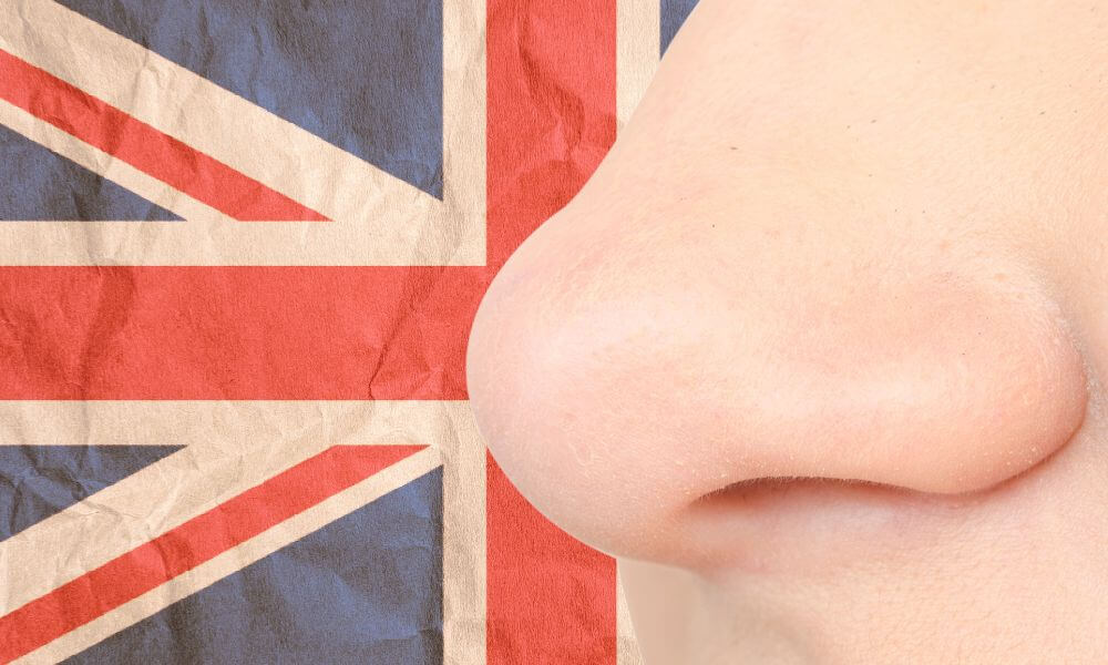 British Slang For Nose