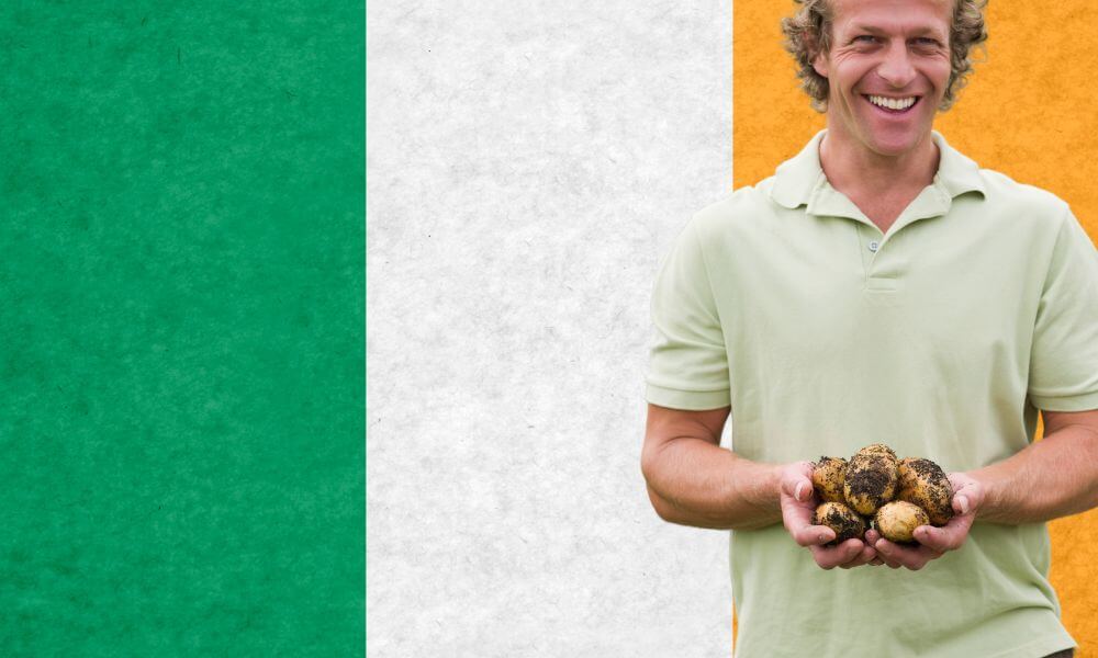 Irish Slang For Potato