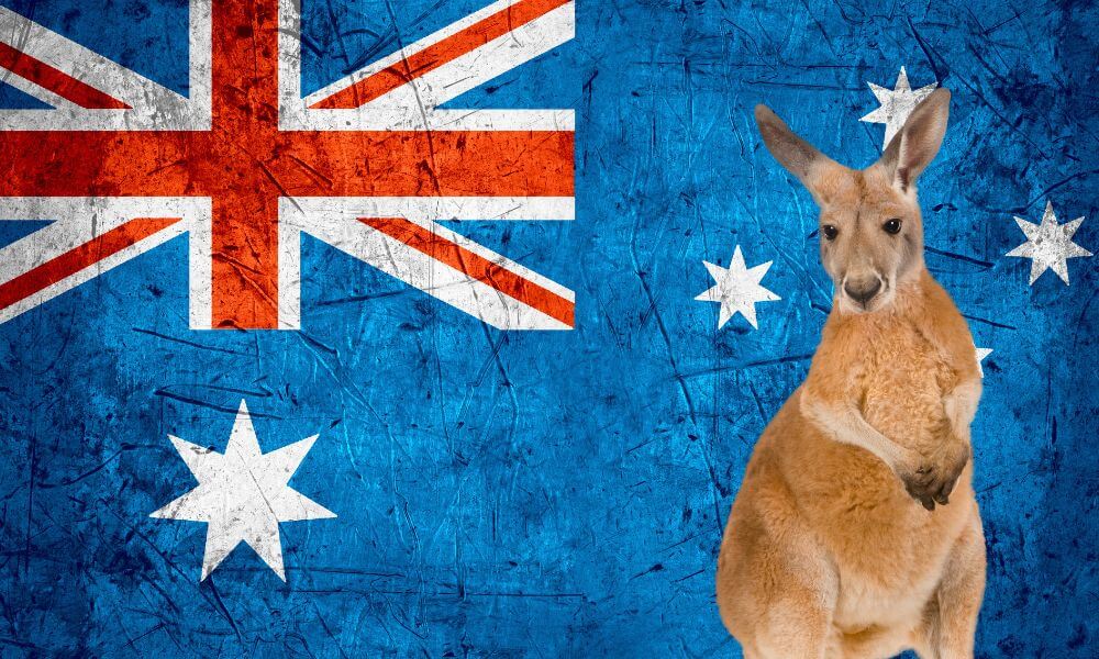 national-animal-of-australia-helpful-content-foreign-lingo