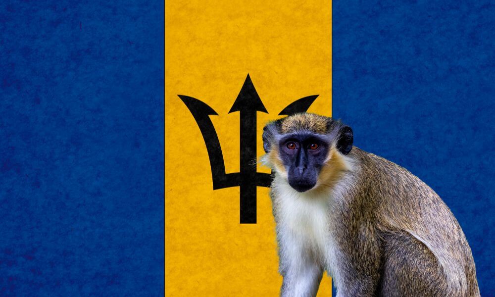 national-animal-of-barbados-helpful-content-foreign-lingo