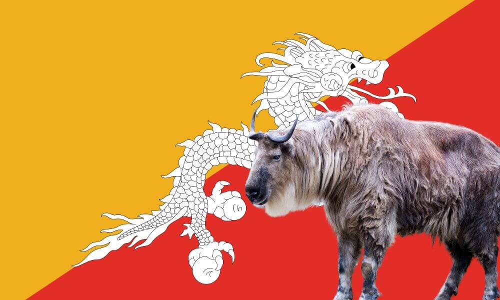 national-animal-of-bhutan-helpful-content-foreign-lingo