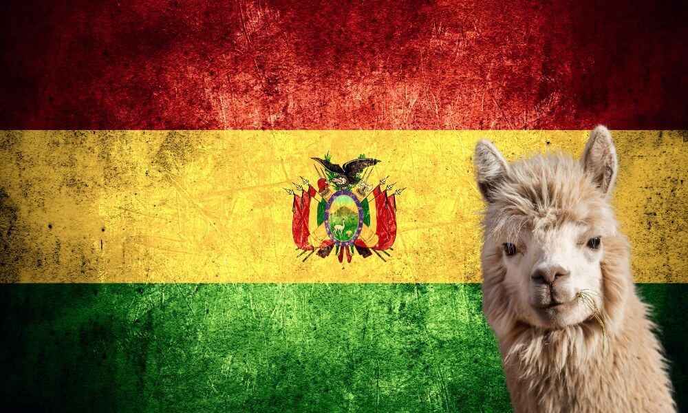 national-animal-of-bolivia-helpful-content-foreign-lingo