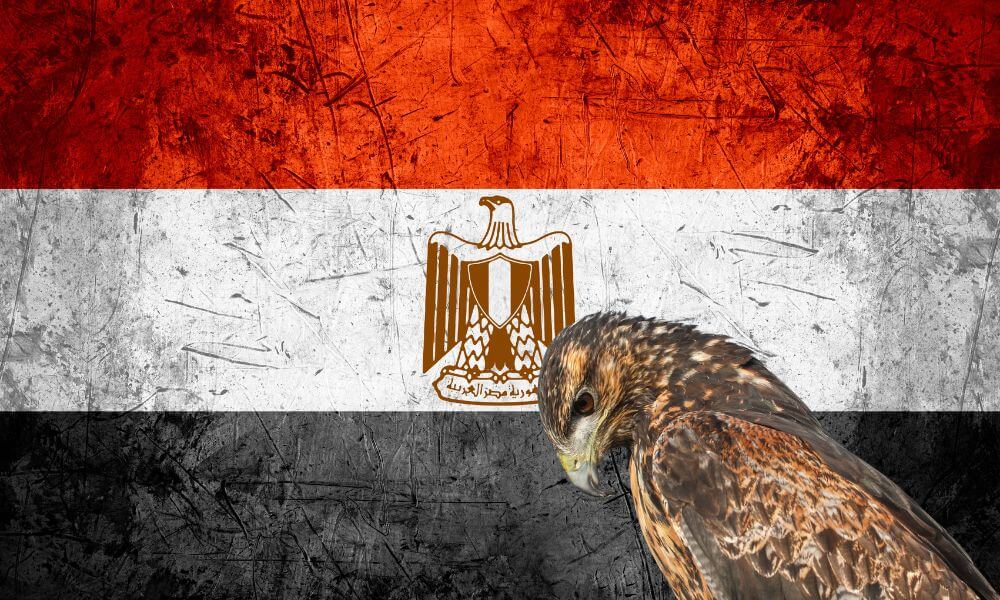 National Animal Of Egypt (Helpful Content!) Foreign Lingo