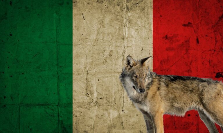 National Animal Of Italy (Helpful Content!) - Foreign Lingo