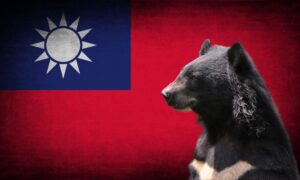 National Animal Of Taiwan (Helpful Content!) - Foreign Lingo