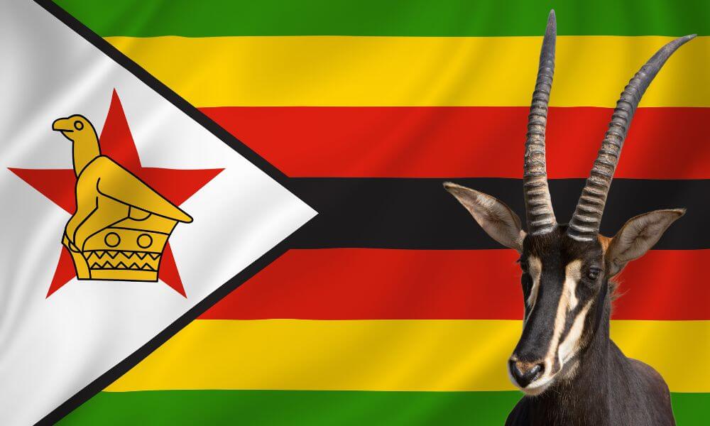 National Animal Of Zimbabwe (Helpful Content!) - Foreign Lingo