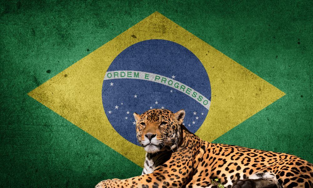 National Animal Of Brazil (Helpful Content!) - Foreign Lingo