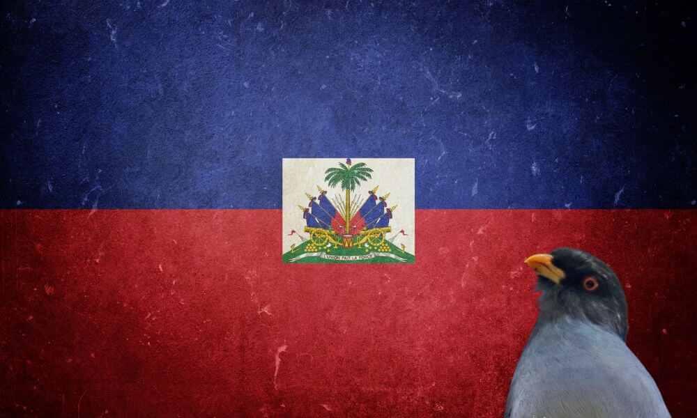 National Animal Of Haiti (Helpful Content!) - Foreign Lingo