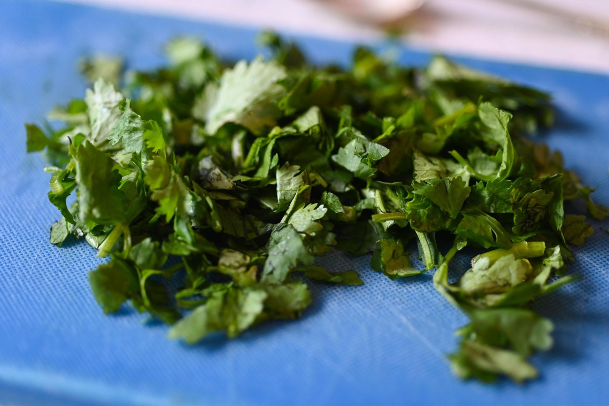 Cilantro