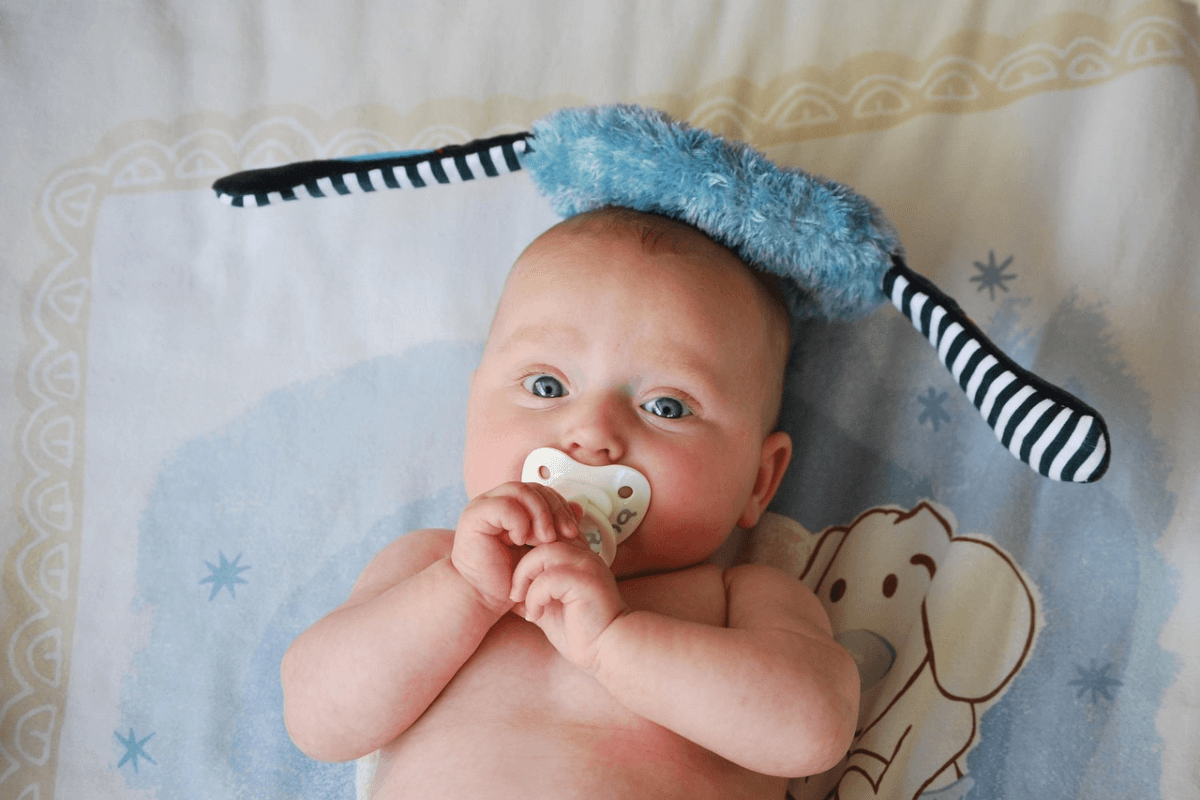 Pacifier